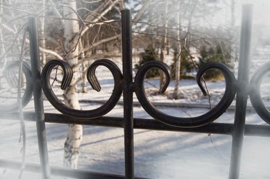 Beautiful decorative cast-iron fence, the with the vignette effect on the background of snow and trees.