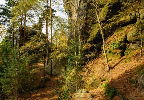 Autumn landscape - rocks, forests - all beautifully colored