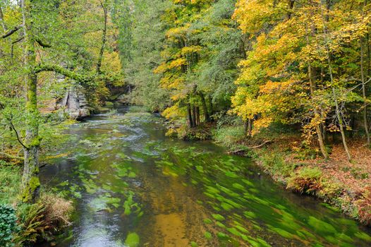 A beautifully clean river flowing through a colorful autumn forest