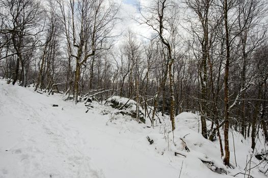 Winter landscape covered with snow and snow clouds