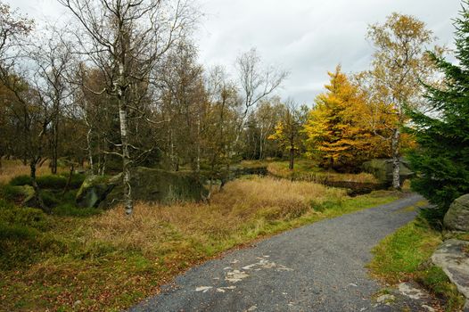 Autumn landscape - rocks, forests - all beautifully colored