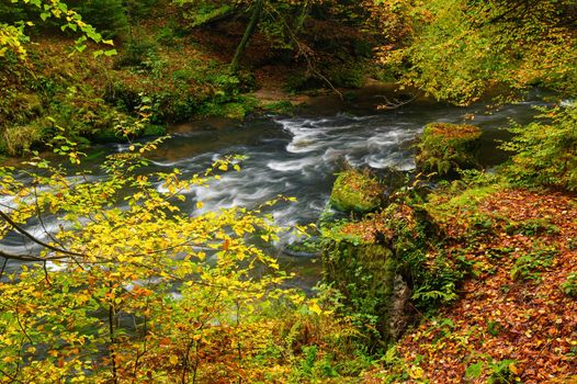 A beautifully clean river flowing through a colorful autumn forest