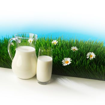 Glass of milk and jar on fresh grass meadow with chamomiles