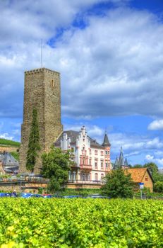 Vineyard near medieval castle fortress Boosenburg in Ruedesheim, Hessen, Germany