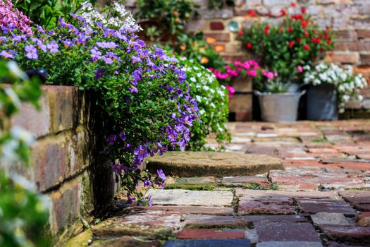 English courtyard brick garden with multi coloured summer plants and plant pots