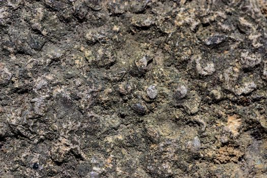 Macro closeup of stone/ rock textured flooring with green, grey and yellew flecks