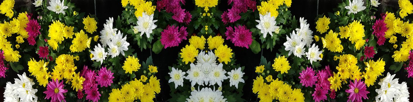 Flower splendor at the weekly market. Flowers with colorful leaves fills the entire picture space.