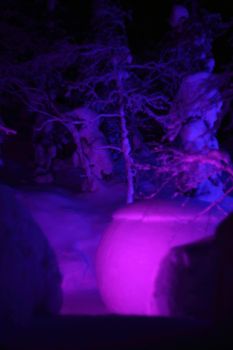 Colorful glowing magic lights in winter snow forest Christmas time