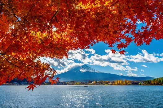 Autumn Season and Mountain Fuji at Kawaguchiko lake, Japan.