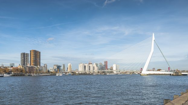 Rotterdam,Holland,14-nov-2018,skyline form Rotterdam with the meuse river and the erasmus bridge with the houses and architecture at the background,the river maas is the important river crossing rotterdam for export and tourism