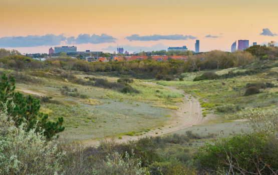 walking road through the dune hills of Scheveningen the netherlands viewing on the town