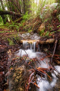 A Small Waterfall in the Mountains of California, Color Image