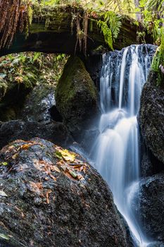 A Small Waterfall in the Mountains of California, Color Image