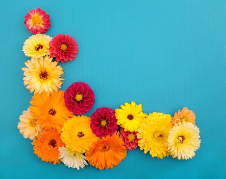 Floral mixture of orange and yellow calendula flowers and red dahlia blooms on a teal background with copy space