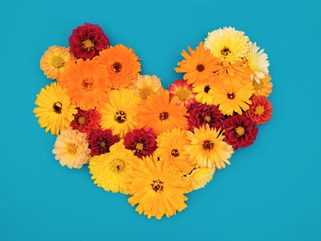 Yellow calendulas and red dahlia flowers in a floral heart arrangment on a painted blue background