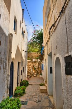 Narrow street of ancient Medina in Hammamet, Tunisia, Mediterranean Sea, Africa, HDR