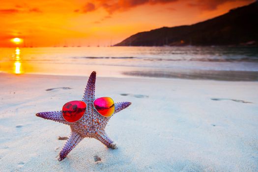 Starfish in sunglasses on sea beach at sunset, Bali, Seminyak, Double six beach