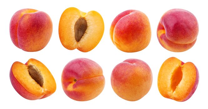 Apricot isolated. Collection of peaches isolated on white background with clipping path