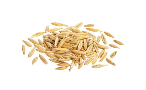 Pile of oat grains isolated on white background with clipping path