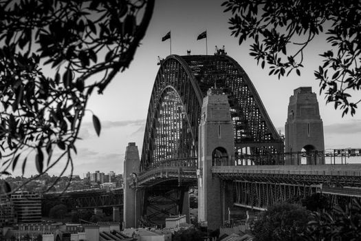 Our engineering icon, admired and photographed by so many... the Sydney Harbour Bridge contains around 52,800 tonnes of steel and its granite pylons were quarried from Moruya and transported 300klm away using purpose built ships
