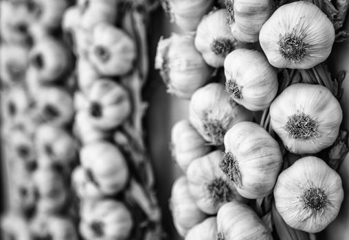 Harvest of garlic in a market, ingredient detail