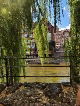 Light green weeping willow that lets its branches hang over the river Ilmenau Ilmenau.