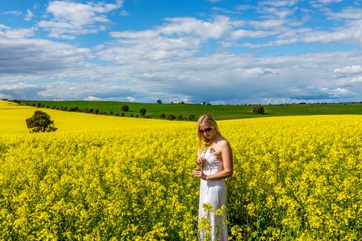 Female in white dress standing in rural fields of green and gold