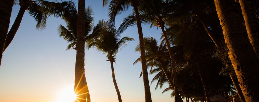 Sun shining through tall palm trees at sunset. Summer, travel, vacation, tourism, lifestyle and weather concept