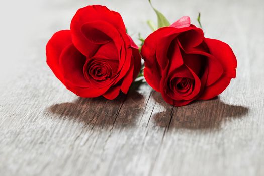 Two Red roses lying on a wooden table close up