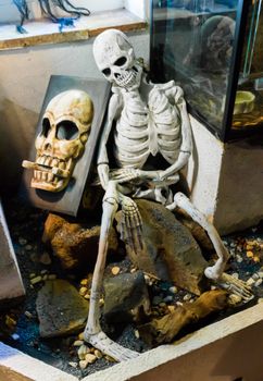 Halloween creepy human skeleton sitting on a stone rock with a spooky skull on a rock behind him