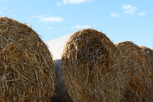 bales on hay after harvest. photo