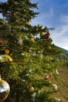 Decorated Christmas tree in the forest at nature background.