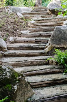 Old Wooden Stairs in the garden