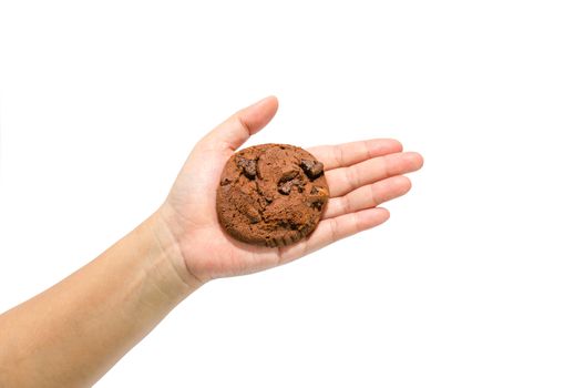 Hand holds  cookies on White background.