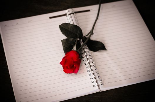 red rose on notebook