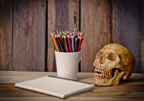 still life skull ,sketchbook and color pencil on wooden background