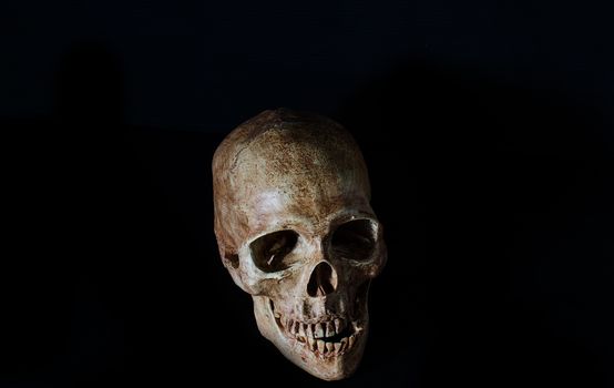 Still life the human skull on a wooden background