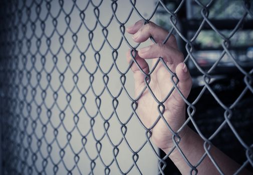 Hands and Steel Cage