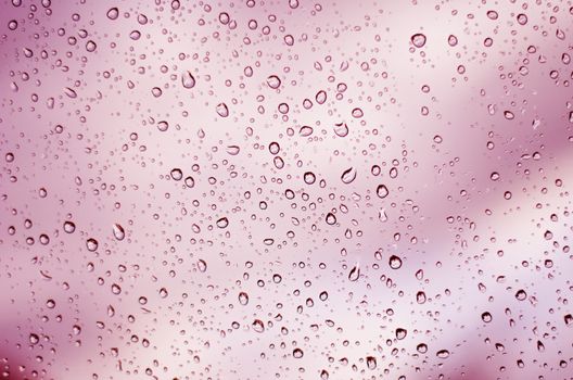 pink water drops background