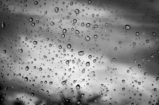 Drops of water on white and black background.