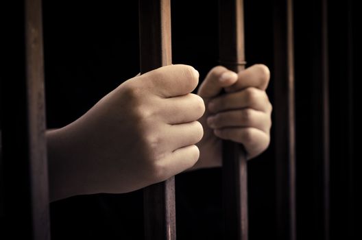Handle Steel Cage