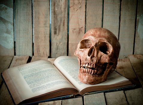Deer skull on books on a wooden floor.