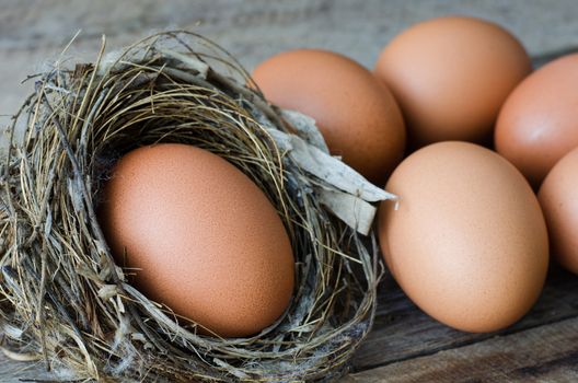 Eggs in a nest on a wooden floor