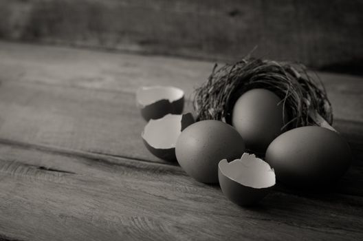 egg shell and eggs on the wooden - still life