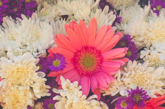 Abstract background of flowers. Close-up.