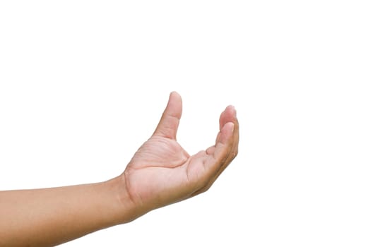 Hand gestures are captured something on a white background.
