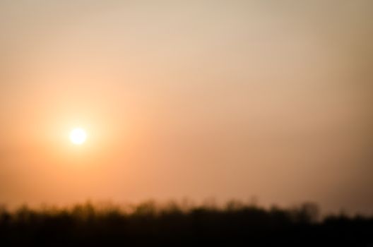 Blur sunset in the field.