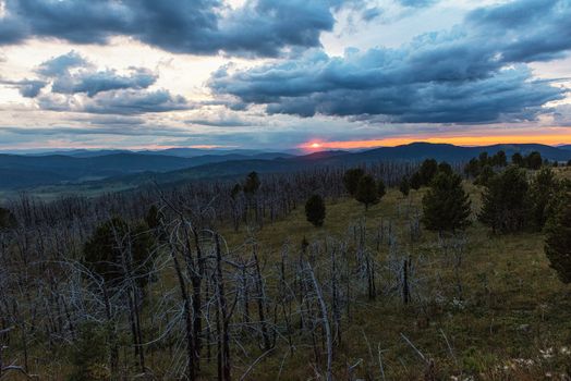 Landscape with dead forest on the mountain pass, height over 2000 meters, in the mountains in Altay