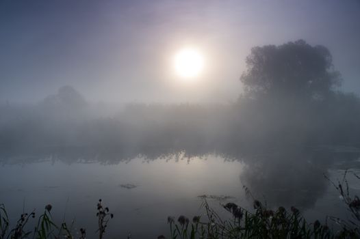 Dramatic mystical twilight landscape with rising sun, tree, reed and fog over water