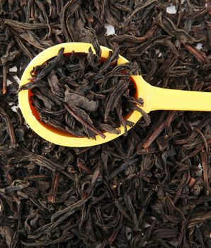 Dried Black Tea Leaves